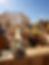 83e22b8e-cc73-4d07-a30c-c9d11ecc28ed.png