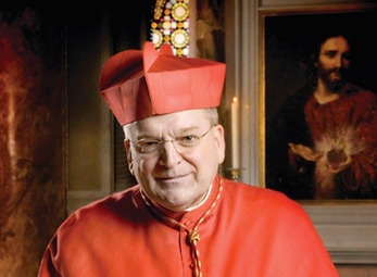 cardeal-burcke.png