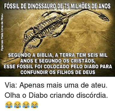 fossil-de-dinossauroidet5-milhoes-de-ano