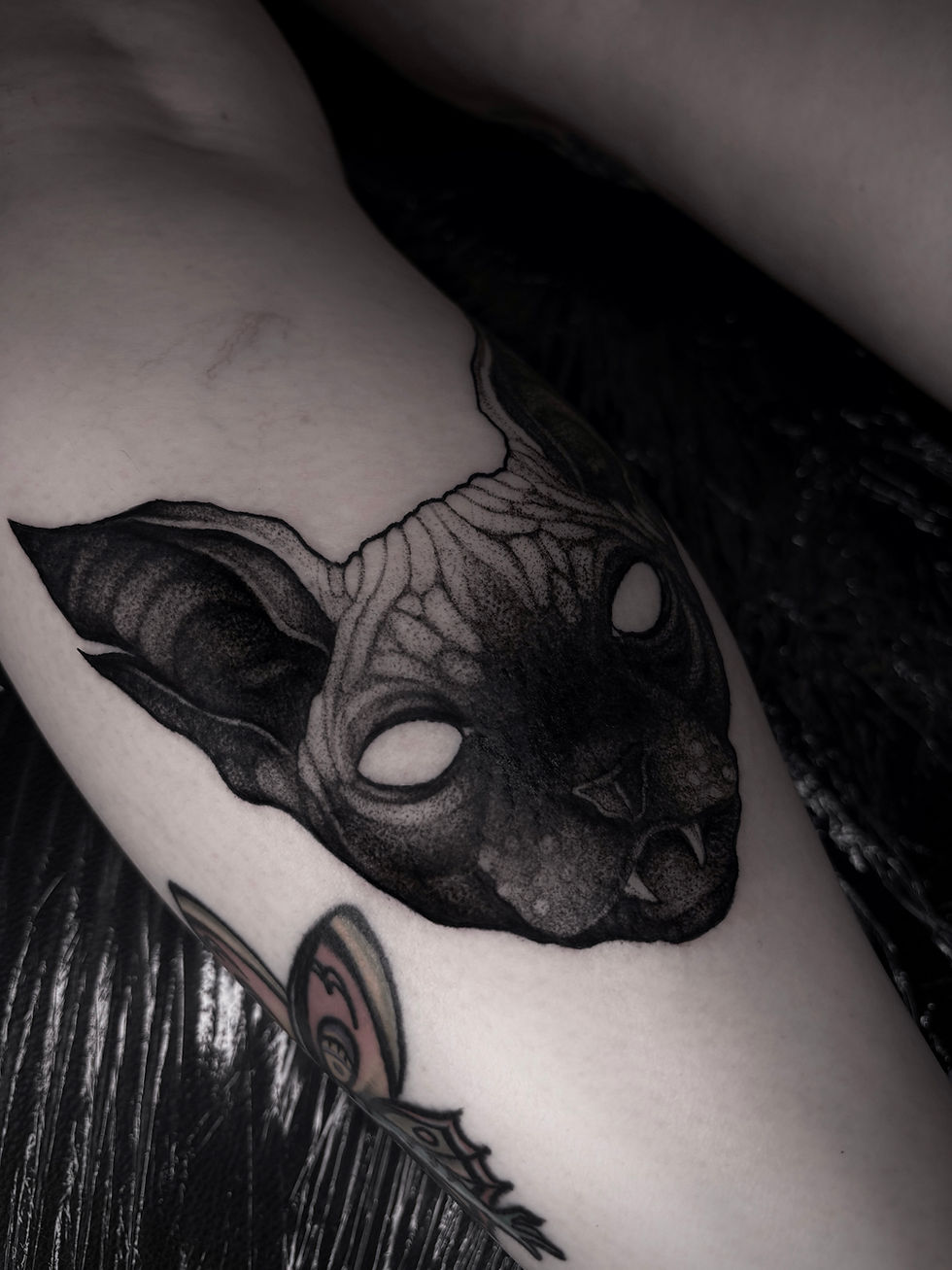 Black ink tattoo of a Sphynx cat head on an arm