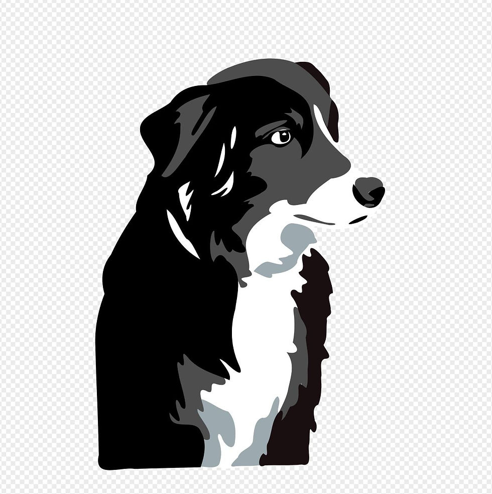 Thumbnail: Embroidered Border Collie Patch - Iron On patch for Dog lovers