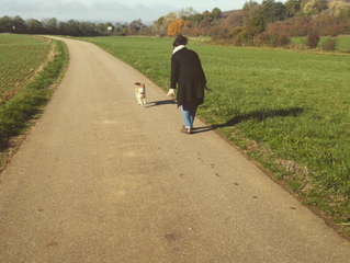 💭 BILLET D'HUMEUR - L'organisation