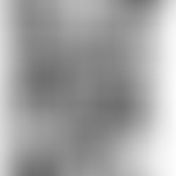 Elephant by Natalie Rodriguez : Book Review