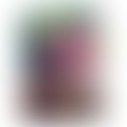 Gently Falls the Bakula - Book Review