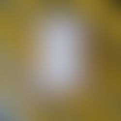 Tuesdays with Morrie - Book Review