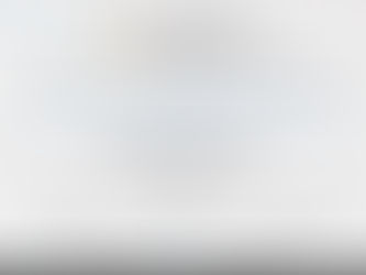 Artigo científico Publicado por Ramalho