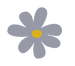Graphic Flower