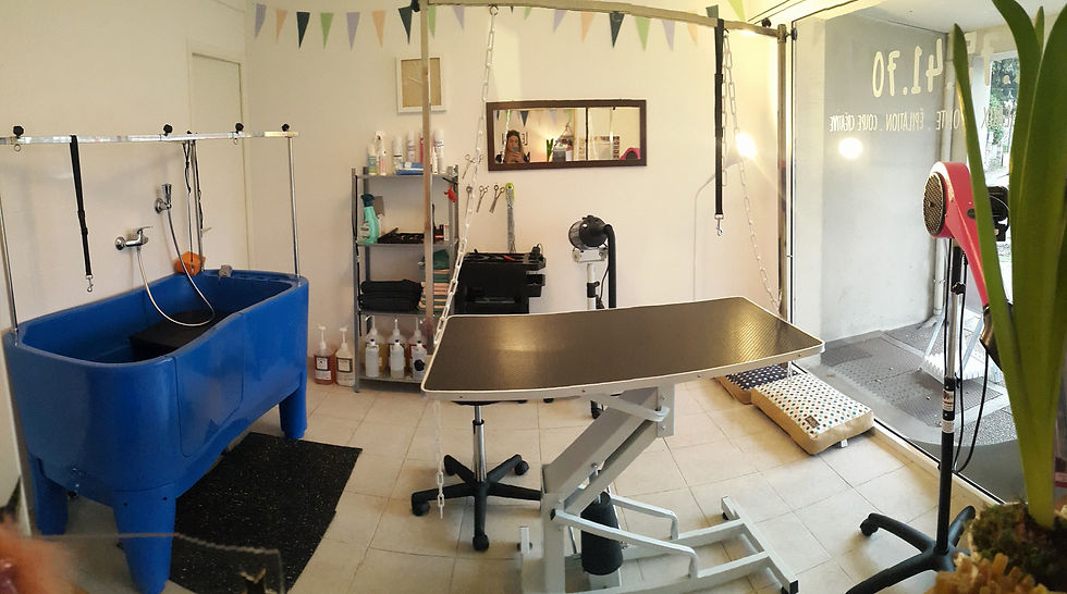 Salle pour le toilettage