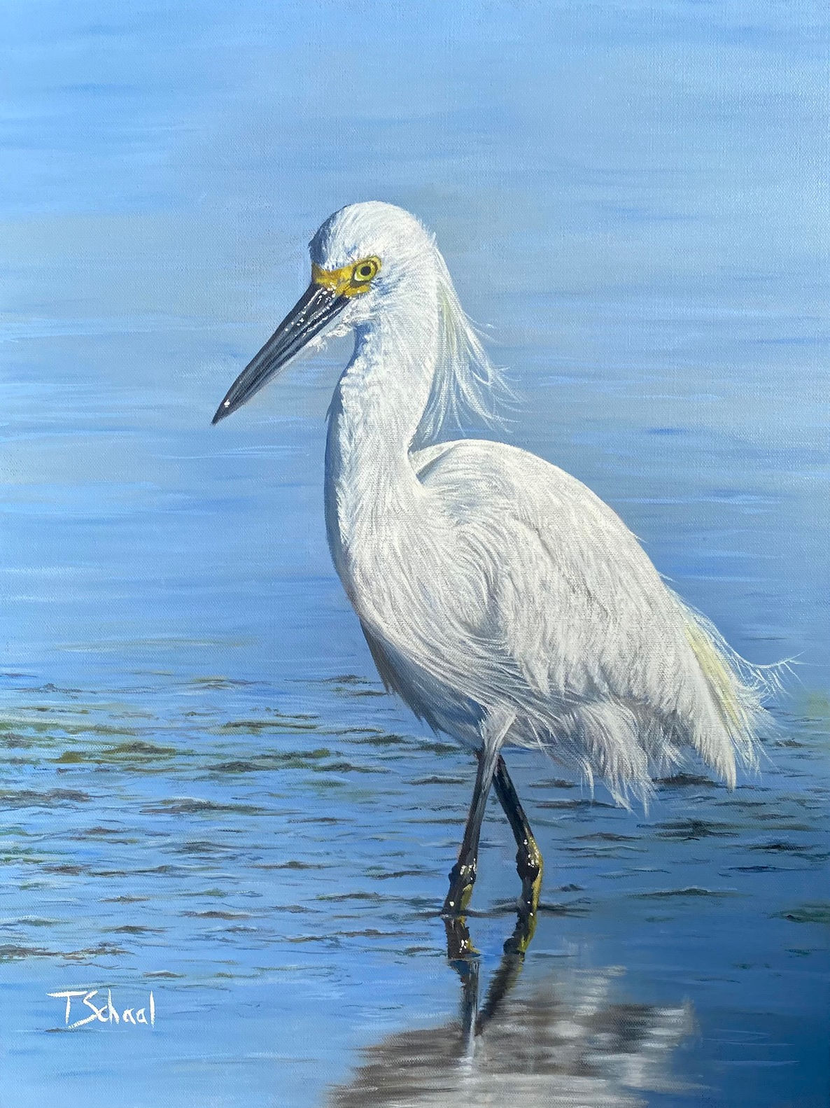 snowy egret wading oil painting