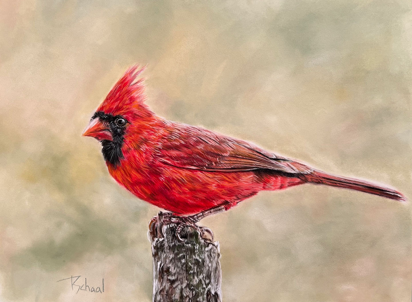 Northern cardinal perched on post pastel painting on pastel mat