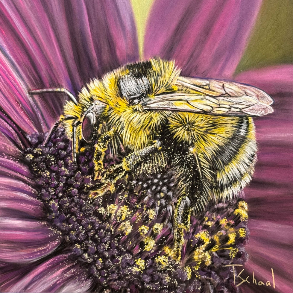 Bumblebee on flower and pollen.