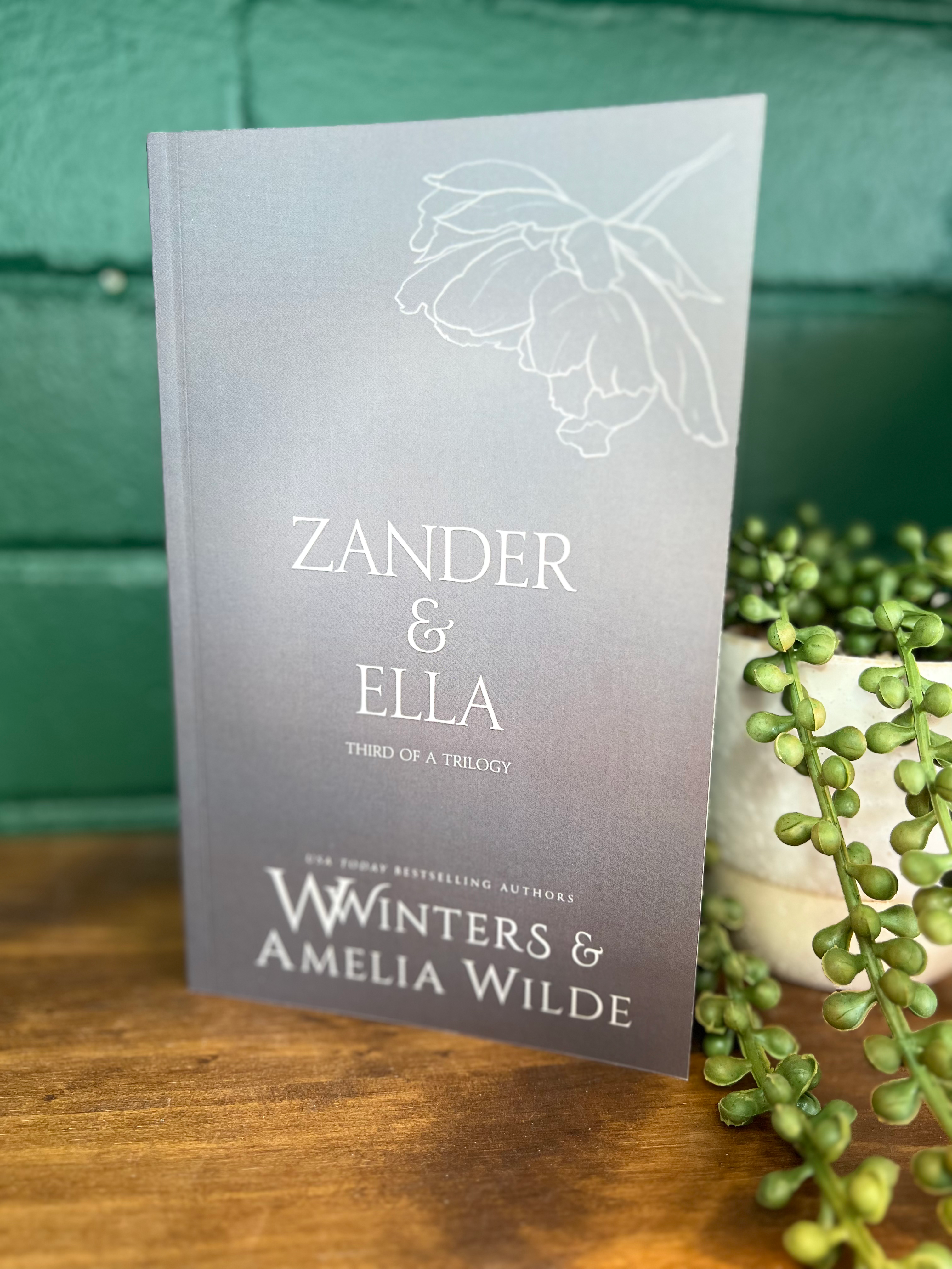 47 Zander and Ella #3 by Willow Winters Discreet Paperback