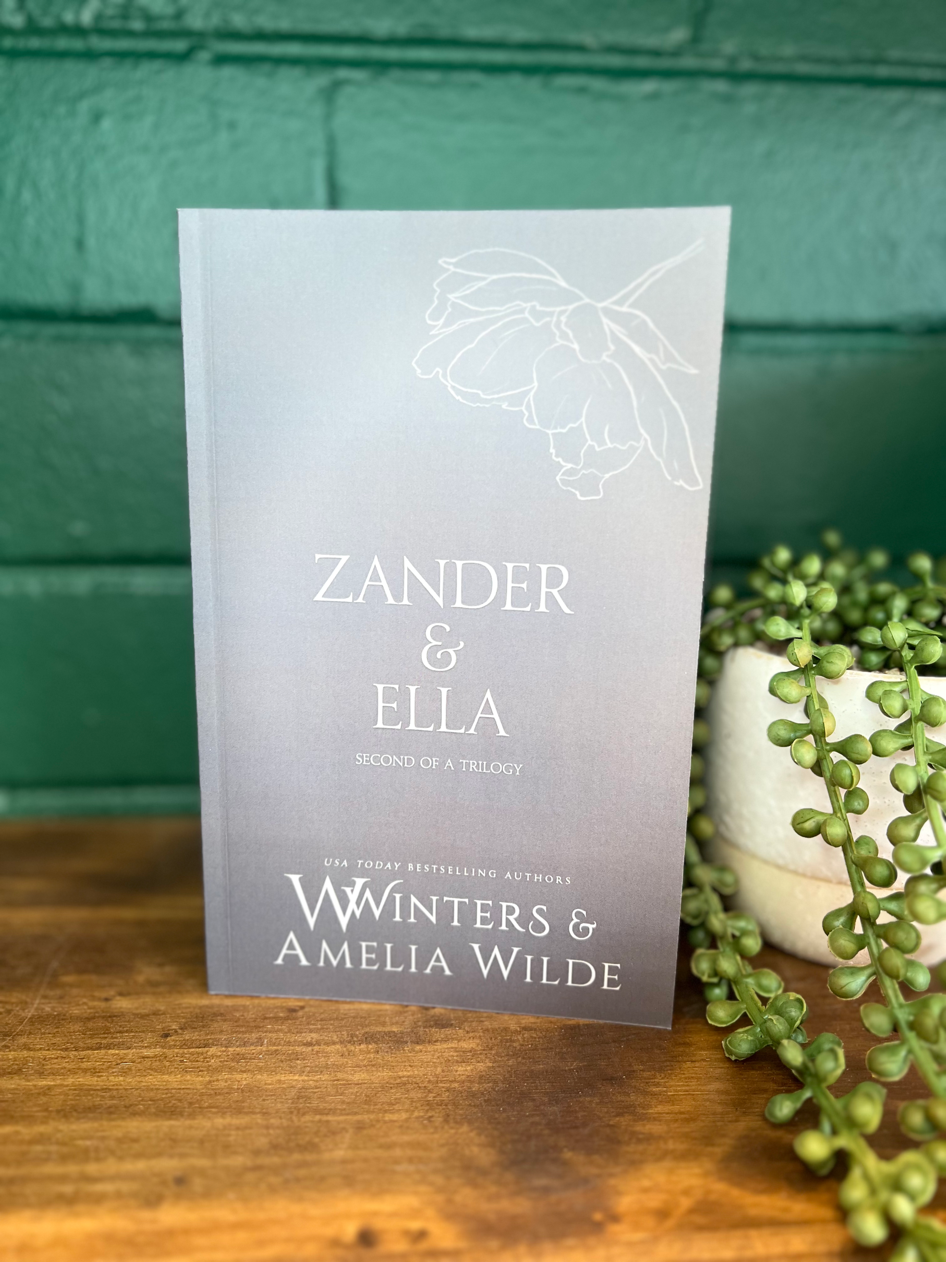 46 Zander and Ella #2 by Willow Winters Discreet Paperback