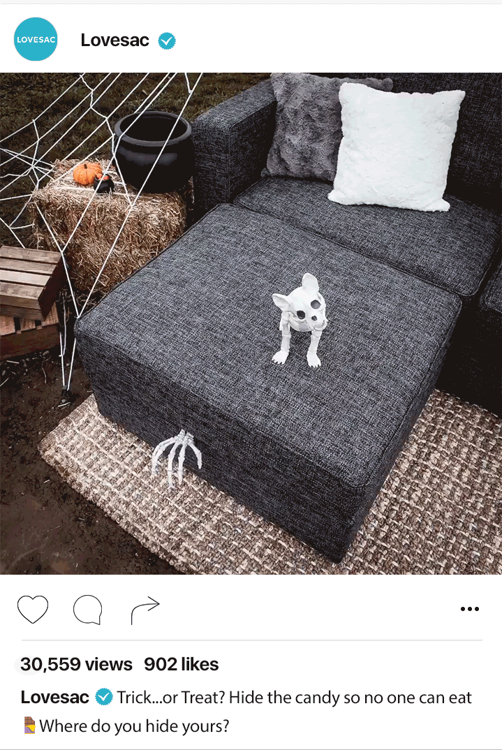 Trick-or-Treat-Storage_Cropped.gif