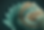 Site Data IA.png