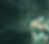 Site Organisation.png