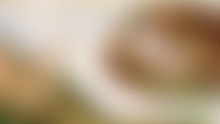 Michelangelo - The Creation of Adam