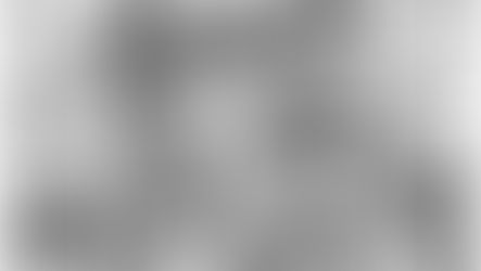 Albrecht Dürer - Angel fight