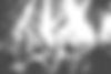 audience-1867754_1920_edited.jpg