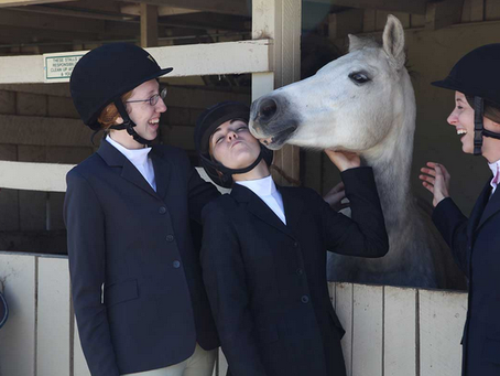 Belmont Equestrian Club wins six ribbons in first competition