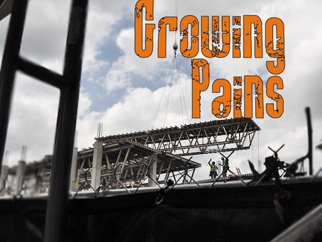 Growing pains: endowment
