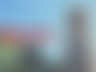 Belmont takes emergency action to suspend Phi Mu