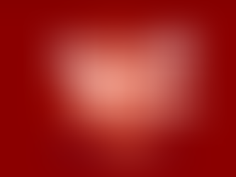 Bruin Blitz 11/25-12/1