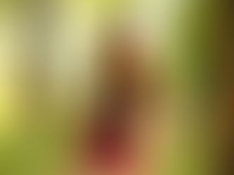 Commercial Music Showcase: Mignon Grabois