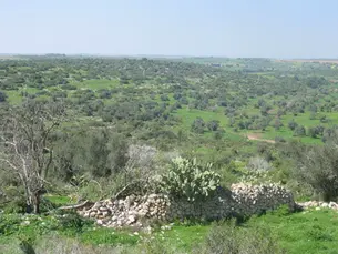 مستوطنة بيغيت