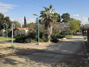 Magen colony