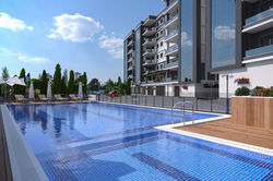 60461327_10156537067243897_1148744717630