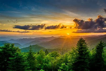 "Developing a Love for Hiking: Tips and Tricks for the Beginner Hiker"