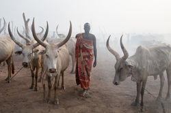 Mundari_10