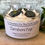 Thumbnail: Junior Monsters "Fix The Funk" Candle