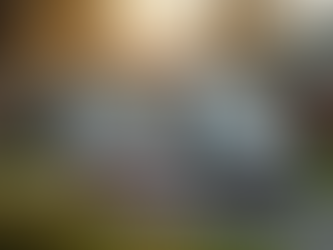 The Advantages of Mobile Pet Vaccinations