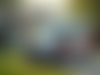 Convenient Mobile Pet Vaccines: Caring for Your Pets with Ease