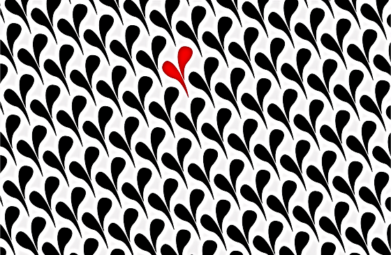 Untitled%20(1)_edited.png