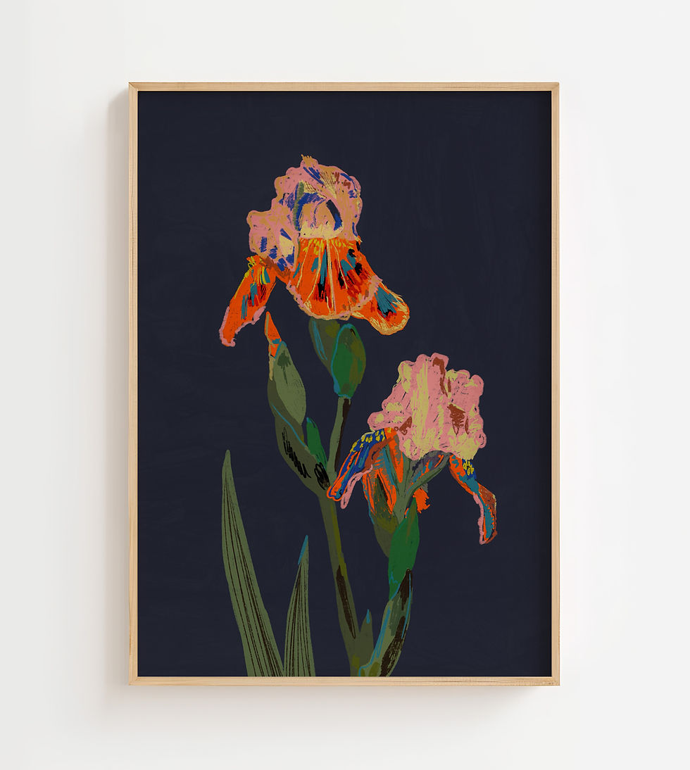 Plakat Irysy autorstwa Gigi Rosado – kolorowe irysy na czarnym tle
