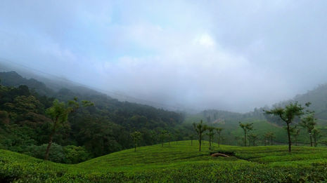 Valparai2