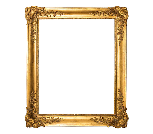 Dr. Panine Hair Transplant Surgeon Before and After Photos