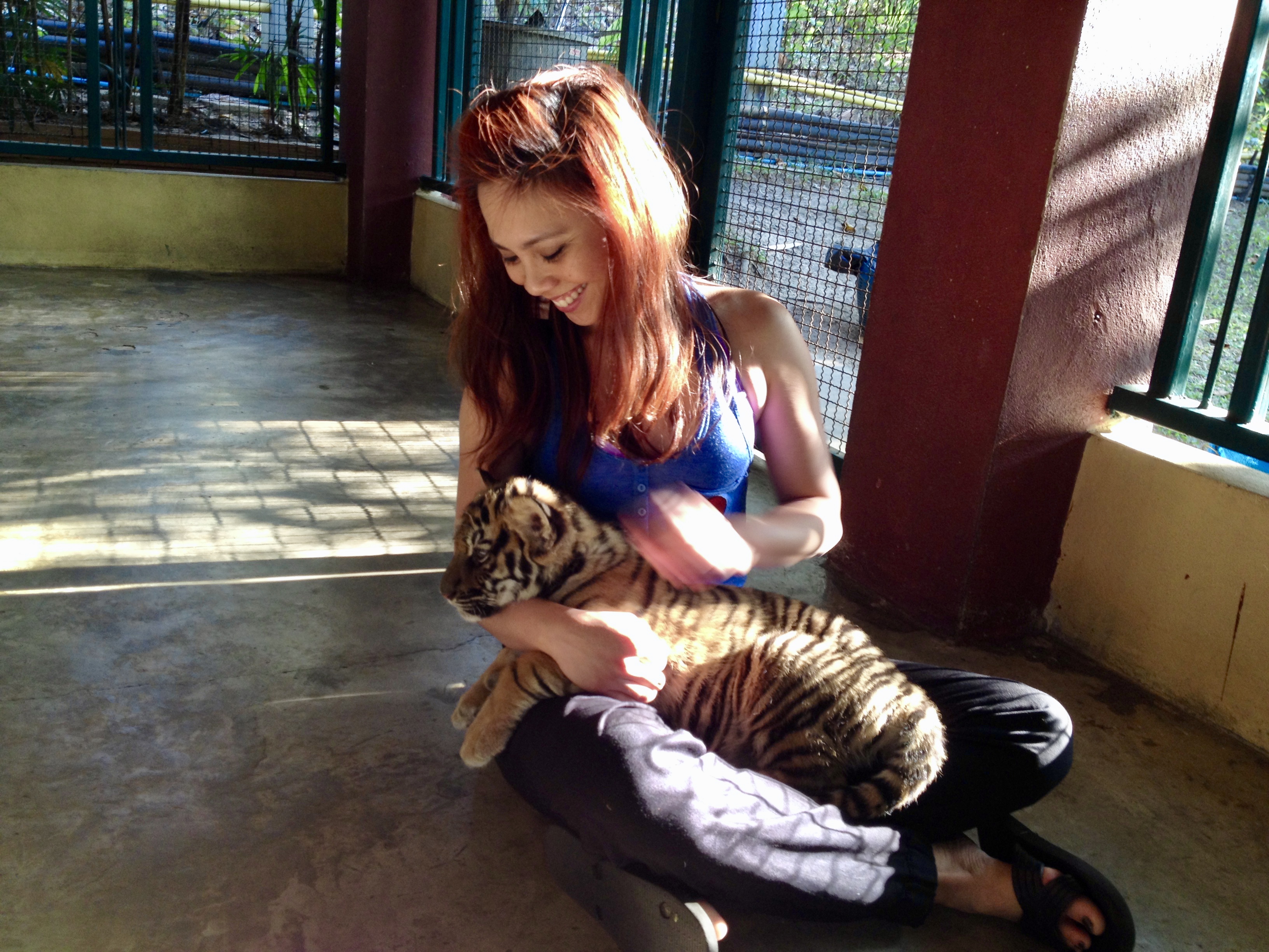 Chiang Mai, Thailand