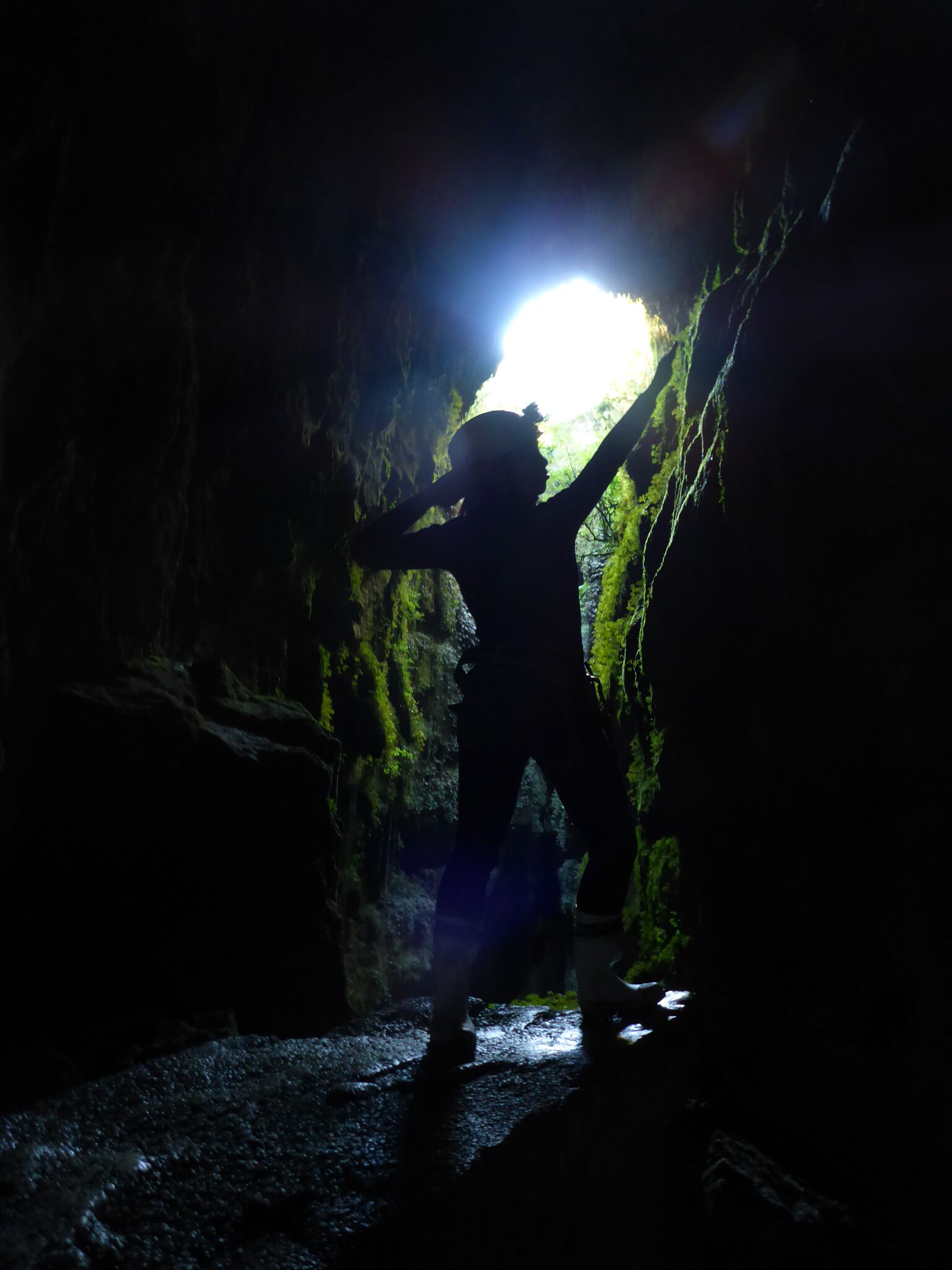 Waitomo Caves, New Zealand