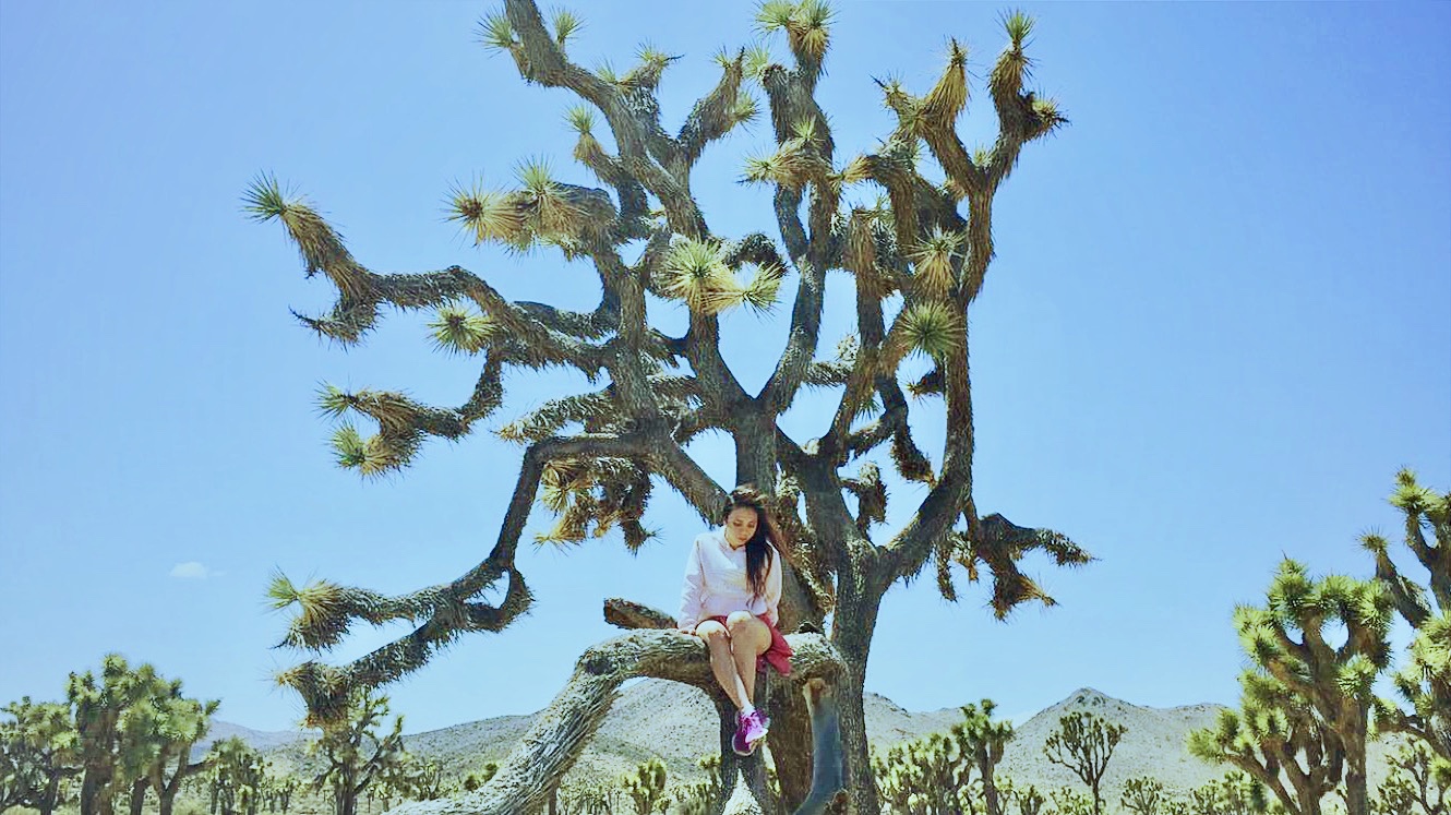 Joshua Tree, California