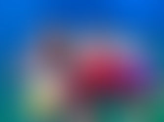 🎀 未経験でも安心!FANTASY TRIBE小田原校の魅力