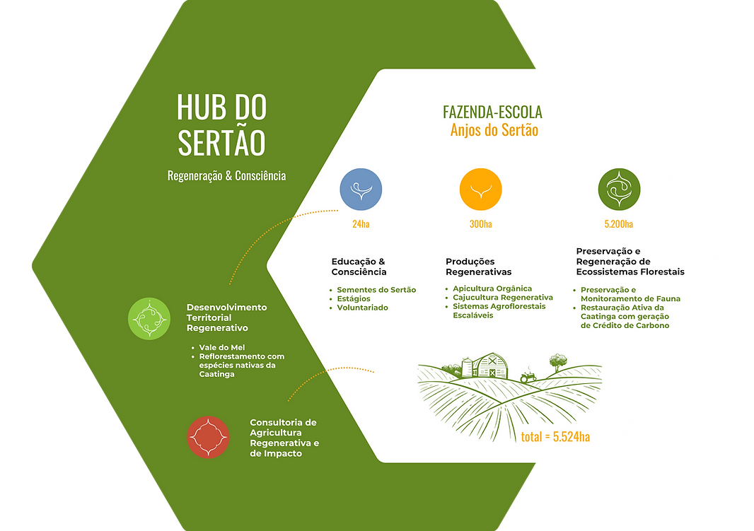 Hub do Sertão - IAS (1).png