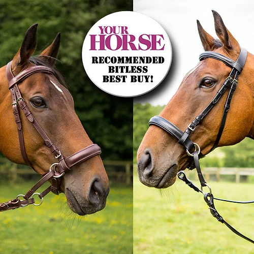Full Leather Bitless Bridle Sure Grip Reins Featured In Your Horse Wales
