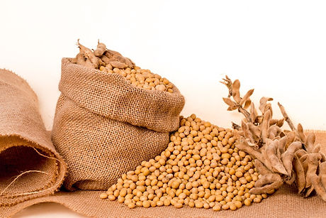 soybeans-2039639_960_720.jpg