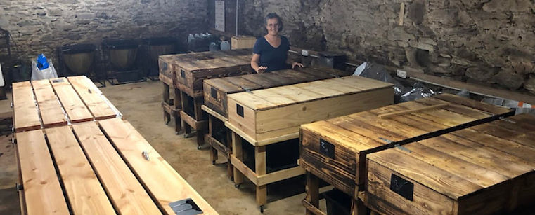 elevage de vers de compost dans une cave