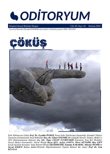 Çöküş Kapak.jpeg