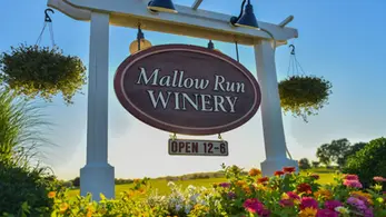 Mallow Run Winery, Greenwood Indiana